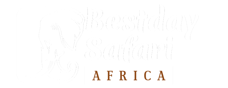 Bestday Safari