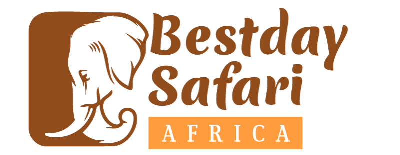 Bestday Safari